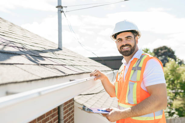Best Roof Insulation Installation  in Shepherd, MI