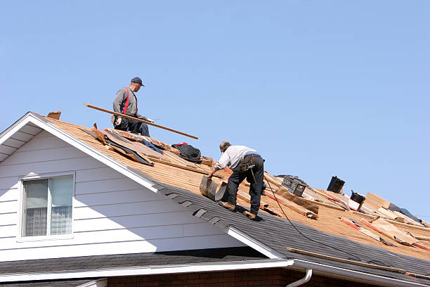 Best Roof Maintenance and Cleaning  in Shepherd, MI