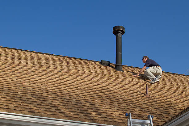 Best Roof Moss and Algae Removal  in Shepherd, MI